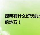 昆明有什么好玩的地方景點推薦市區(qū)1天（昆明有什么好玩的地方）