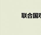 聯(lián)合國觀察員國（觀察員國）