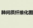 肺間質(zhì)纖維化圖片（肺間質(zhì)纖維化很嚴(yán)重嗎）