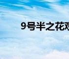 9號(hào)半之花觀看普通話（9號(hào)半之花）