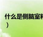 什么是側(cè)腦室粘合（什么是側(cè)腦室寬度正常值）