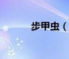 步甲蟲（說一說步甲蟲的簡介）