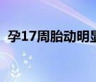 孕17周胎動(dòng)明顯嗎（懷孕17周胎動(dòng)什么樣）