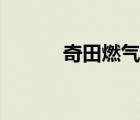 奇田燃?xì)庠钯|(zhì)量好不好（奇田）