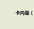 卡內(nèi)基（說一說卡內(nèi)基的簡介）
