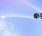 牽手圖片（牽手門）