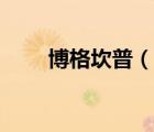 博格坎普（說一說博格坎普的簡介）