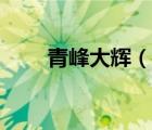 青峰大輝（說一說青峰大輝的簡介）