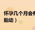 懷孕幾個(gè)月會(huì)有胎動(dòng)的感覺(jué)（懷孕幾個(gè)月才有胎動(dòng)）