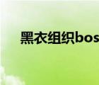 黑衣組織boss同人文（黑衣組織boss）