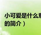 小可愛是什么意思（說一說小可愛是什么意思的簡介）