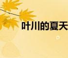 葉川的夏天百度（葉川的夏天網(wǎng)盤）