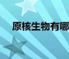 原核生物有哪些結(jié)構(gòu)（原核生物有哪些）