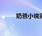 奶爸小說完結(jié)本（奶爸小說完結(jié)）