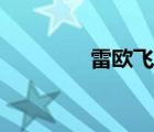 雷歐飛踢圖片（雷歐飛踢）