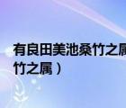 有良田美池桑竹之屬阡陌交通雞犬相聞翻譯（有良田美池桑竹之屬）