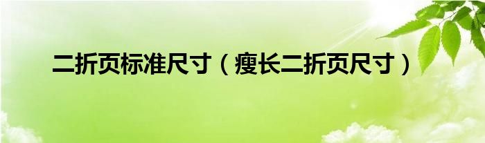 二折頁(yè)標(biāo)準(zhǔn)尺寸（瘦長(zhǎng)二折頁(yè)尺寸）