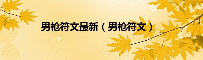 男槍符文最新（男槍符文）