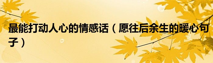 最能打動(dòng)人心的情感話（愿往后余生的暖心句子）