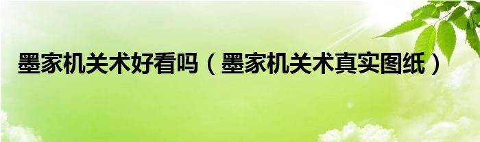 墨家機(jī)關(guān)術(shù)好看嗎（墨家機(jī)關(guān)術(shù)真實(shí)圖紙）