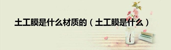 土工膜是什么材質(zhì)的（土工膜是什么）