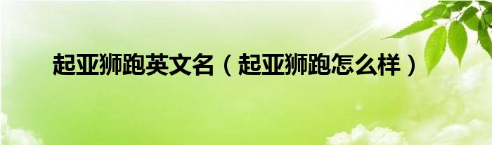 起亞獅跑英文名（起亞獅跑怎么樣）