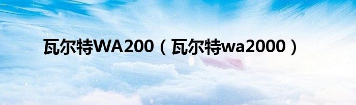 瓦爾特WA200（瓦爾特wa2000）