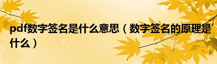 pdf數(shù)字簽名是什么意思（數(shù)字簽名的原理是什么）