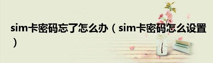 sim卡密碼忘了怎么辦（sim卡密碼怎么設(shè)置）