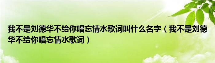 我不是劉德華不給你唱忘情水歌詞叫什么名字（我不是劉德華不給你唱忘情水歌詞）