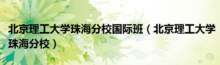 北京理工大學(xué)珠海分校國(guó)際班（北京理工大學(xué)珠海分校）