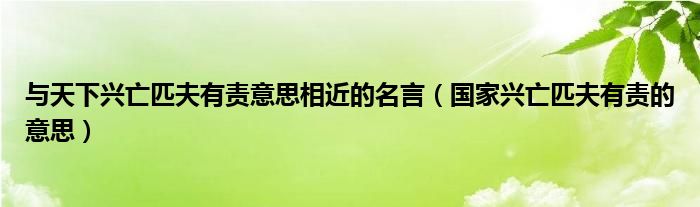 與天下興亡匹夫有責(zé)意思相近的名言（國家興亡匹夫有責(zé)的意思）