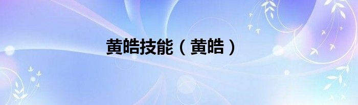 黃皓技能（黃皓）