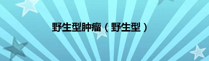 野生型腫瘤（野生型）