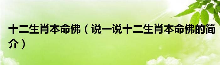 十二生肖本命佛（說一說十二生肖本命佛的簡介）
