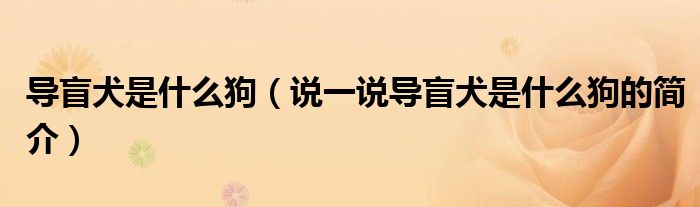 導(dǎo)盲犬是什么狗（說一說導(dǎo)盲犬是什么狗的簡(jiǎn)介）