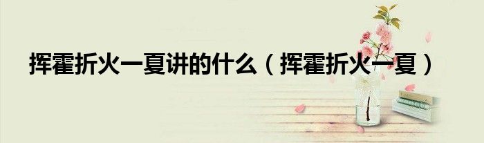 揮霍折火一夏講的什么（揮霍折火一夏）