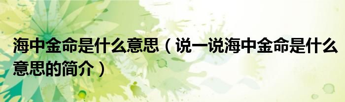 海中金命是什么意思（說一說海中金命是什么意思的簡介）