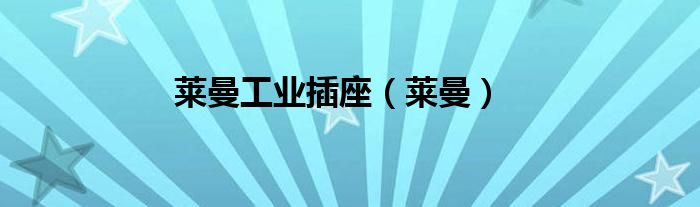 萊曼工業(yè)插座（萊曼）
