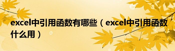 excel中引用函數(shù)有哪些（excel中引用函數(shù)什么用）