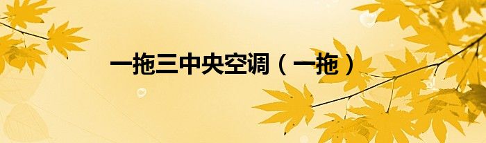 一拖三中央空調(diào)（一拖）