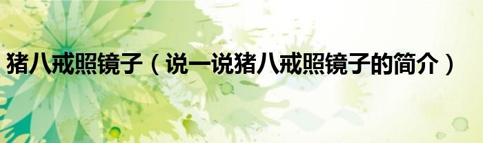 豬八戒照鏡子（說一說豬八戒照鏡子的簡介）