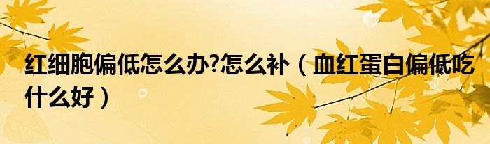 紅細胞偏低怎么辦?怎么補（血紅蛋白偏低吃什么好）
