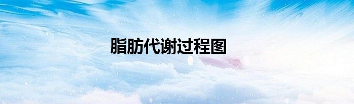 脂肪代謝過程圖