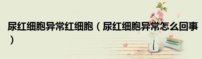 尿紅細胞異常紅細胞（尿紅細胞異常怎么回事）