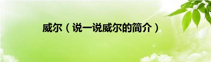 威爾（說一說威爾的簡介）