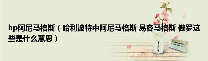 hp阿尼馬格斯（哈利波特中阿尼馬格斯 易容馬格斯 傲羅這些是什么意思）
