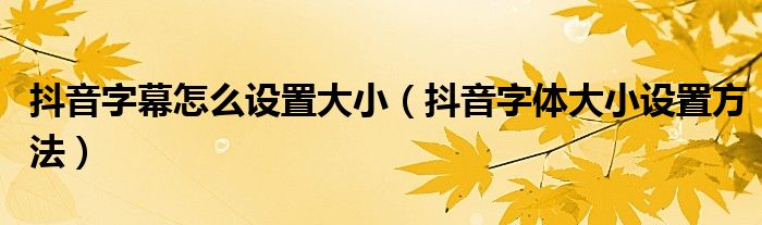 抖音字幕怎么設(shè)置大?。ǘ兑糇煮w大小設(shè)置方法）