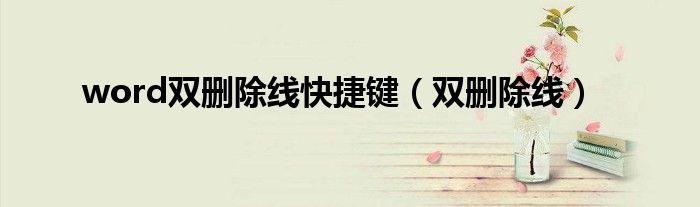 word雙刪除線快捷鍵（雙刪除線）
