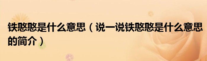 鐵憨憨是什么意思（說一說鐵憨憨是什么意思的簡(jiǎn)介）